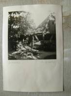 Bavaria - DINKELSBÜHL    Im Spitalhof- Ca 1950's - Real Photo  RPPC   D92007 - Dinkelsbuehl