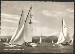 Delcampe - REGATTA Auf Dem Starnberger See Starnberg Bayern München 1962 - Starnberg