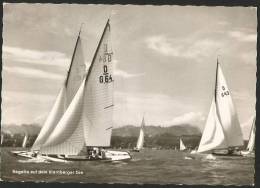 REGATTA Auf Dem Starnberger See Starnberg Bayern München 1962 - Starnberg