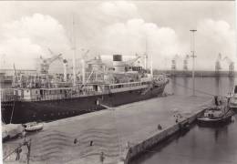 CIVITAVECCHIA /  IL Porto - Nave Trapani - Fotografica _  Viaggiata - Civitavecchia