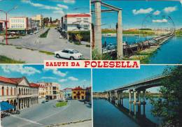 POLESELLA   /  Saluti Con Vedutine _ Viaggiata - Rovigo