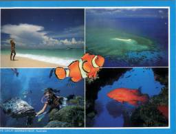 (202) Australia - QLD  - Great Barrier Reef - Other & Unclassified