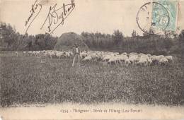 MARIGNANE - Bords De L'étang (lou Poncet) - Marignane