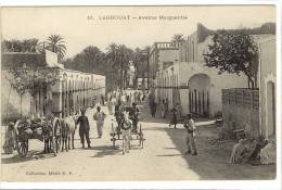 Carte Postale Ancienne Algérie - Laghouat. Avenue Marguerite - Laghouat