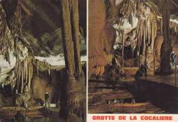 Cp , 30 , COURRY , Grotte De La Cocalière , La Galerie Des Colonnes , Les Gours - Alès