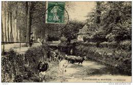 77 - DONNEMARIE-EN-MONTOIS - L'Abreuvoir - Animée, Vaches - (Donnemarie-Dontilly) - Donnemarie Dontilly