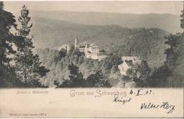 GRUSS AUS SCHWARZBURG   SCLOSS V. HELENENSITZ - Saalfeld