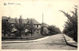 BELGIQUE - BRUXELLES - WATERMAEL-BOITSFORT - WATERMAAL-BOSVOORDE - Le Logis. - Watermael-Boitsfort - Watermaal-Bosvoorde