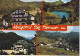 DONNERSBACH - Gasthof STIEG, Pension Grimmingblick,  Planneralm, Mehrfachbildkarte - Donnersbach (Tal)