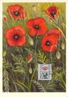 BELGIQUE CARTE MAXIMUM   NUM.YVERT  817 FLEURS   COQUELICOTS - 1934-1951