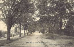 MARCHE En Famenne - Allée Du Monument - M. Marcovici - Marche-en-Famenne