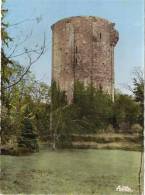 45. CHATILLON - COLIGNY . Donjon Du Château. Monument Historique. - Chatillon Coligny