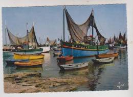 CPM DPT 29 BATEAUX DE PECHE DANS LE PORT DE LESCONIL - Lesconil