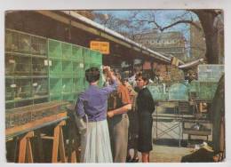 CPM PARIS LES MARCHANDS D OISEAUX SUR LES QUAIS - Shopkeepers