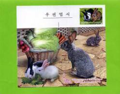 ENTIER POSTAL COREE LAPIN SALADE CAROTTE RADIS - Rabbits
