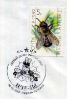 ABEILLE / BIENE / BEE / OBLITERATION TEMPORAIRE  RUSSIE URSS - Abeilles