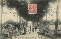 Ballan :avenue Des Accacias - Ballan-Miré