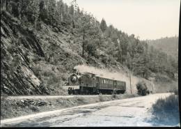 Pres De Pessegueiro --- 23.2.1969 - Trains
