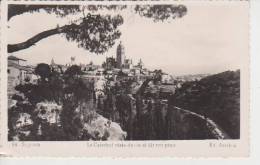 (AKZ264) SEGOVIA. LACATEDRAL VISTA DESDE EL ULTIMO PINO - Segovia