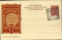 INTERO REGNO 1a ESPOSIZ POSTALE FILATELICA INTERN  MILANO 1894 FDC ROSSO - Ganzsachen