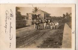 Caraibes  ? Ou A Localiser:  Un Enterrement En Campagne  ( Carte Photo Petite Coupure En Haut) - Autres & Non Classés