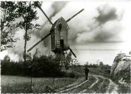 OLEN (Prov. Antwerpen) - Molen/moulin - De Verdwenen Hezewijkmolen (omvergetrokken In 1951) - Olen