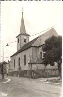 57 - Moselle -  LORQUIN - Eglise - Dentelée - Format  8,8  X  13 ,9 - Lorquin