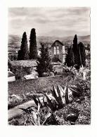 Carte 1955 PRADES / Petite Chapelle Romane Du Village D'Eus - Prades