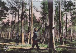 Delcampe - Cp , 40 , LA LANDE , Les Résiniers Au Travail - Roquefort