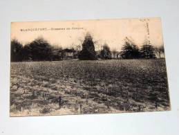 Carte Postale Ancienne : BLANQUEFORT : Domaine De Curgan - Blanquefort