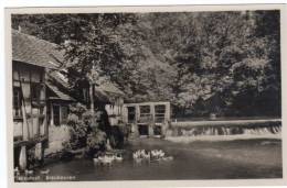 Blaubeuren - Blautopf - Blaubeuren