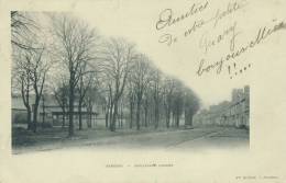 JARGEAU - Boulevard Carnot - Jargeau