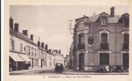 JARGEAU - Place Du Cheval Blanc - Jargeau