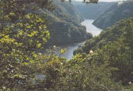 Cp , 19 , ARGENTAT , Les Gorges De La Dordogne - Argentat