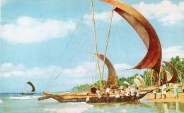 Asie > (Sri Lanka )  Fishing "CATAMARAN"  Boats - CEYLON (- Editions : Ceylon Pictorials Colombo CP-101) *PRIX FIXE - Sri Lanka (Ceylon)