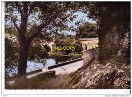 MONTAIGU - La Rivière La Maine Au Pont St Nicolas, Vues Des Remparts  - N° Cc  5275 - Montaigu