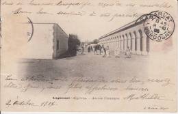 LAGHOUAT - Avenue Cassaigne ( Etat ) - Laghouat