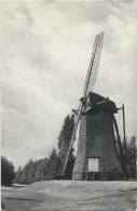 Arendonk :    Smoutmolen  Of  '  De Toreman    ' - Arendonk