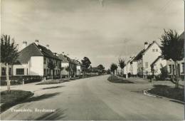 Tessenderlo :  Reydtstraat  ( Geschreven Met Zegel ) - Tessenderlo