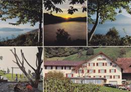 HOTEL PENSION  AESCH  WALCHWIL - Walchwil