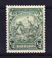 Barbados - 1938 - ½d Definitive (Perf 13½ X 13)- MH - Barbados (...-1966)