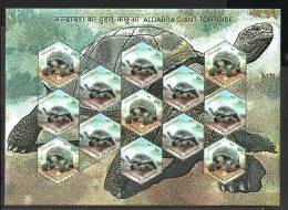 INDIA, 2008, Adwaitya Aldabra Giant Tortoise Of Alipore Zoo, Kolkata, Sheetlet,  MNH, (**) - Unused Stamps