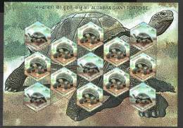 INDIA, 2008, Adwaitya Aldabra Giant Tortoise Of Alipore Zoo, Kolkata,  Sheetlet,  MNH, (**) - Unused Stamps
