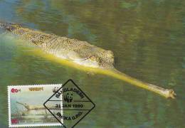 WWF - 090,31 - CM-MC - € 1,25 - 31-1-1990 - 50p - Gharial - Bangladesh 1087212 - Bangladesh