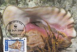 WWF - 091,33 - CM-MC - € 1,12 - 31-1-1990 - 60c - Queen Conch - Nevis 1086212 - St.Kitts En Nevis ( 1983-...)