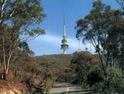 (540) Australia - ACT - Black Mountain Tower - Canberra (ACT)