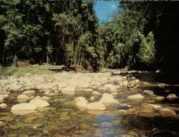 (540) Australia - NSW - Wauchope Sanctuary & River - Autres & Non Classés