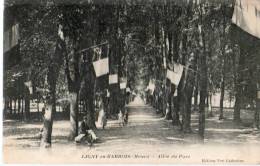 55.....MEUSE....LIGNY EN BARROIS.......ALLEE DU PARC....NON .ÉCRI TE.  ‹(•¿• )› - Ligny En Barrois