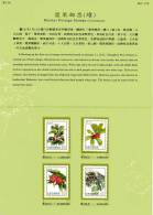 Folder Taiwan 2013 Berries Stamps (II) Berry Flora Fruit Plant Medicine - Nuovi
