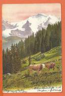 S185,Paysage Alpestre, Jungfrau, Alpen Landschaft, Vaches, Tampon Les Brenets, Le Locle,La Chaux-De-Fond,circulée 1905 - Le Locle